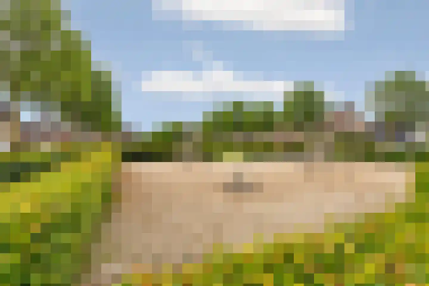 De Hoef 68 Malden thumbnail 71