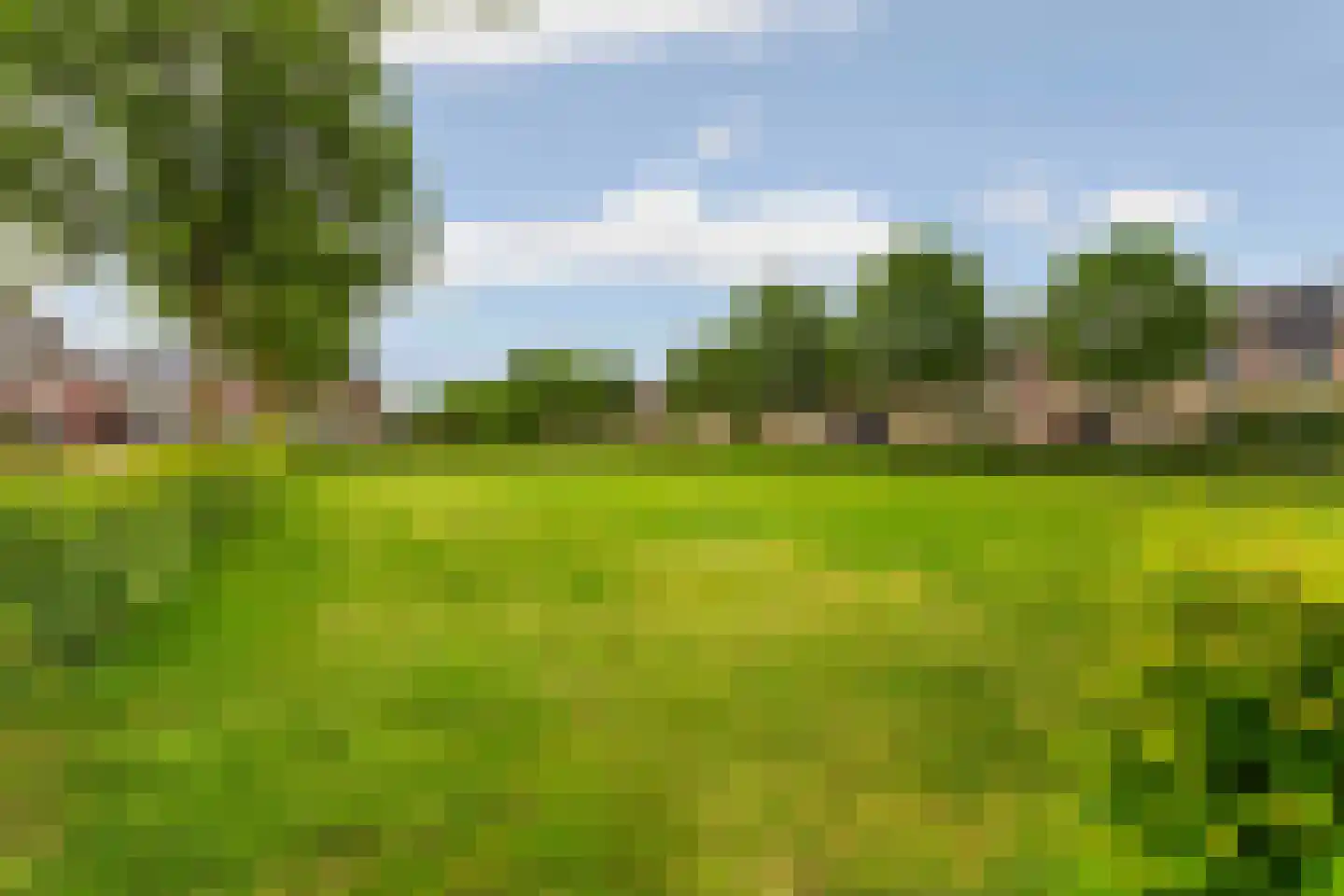 De Hoef 68 Malden thumbnail 72