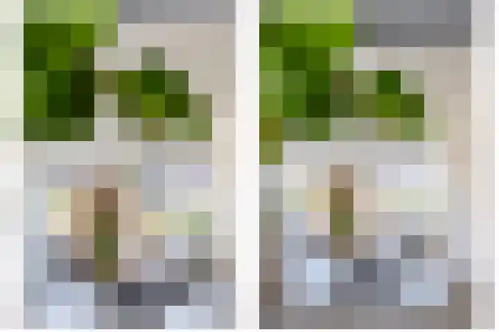 De Hoef 7 Bergeijk thumbnail 20