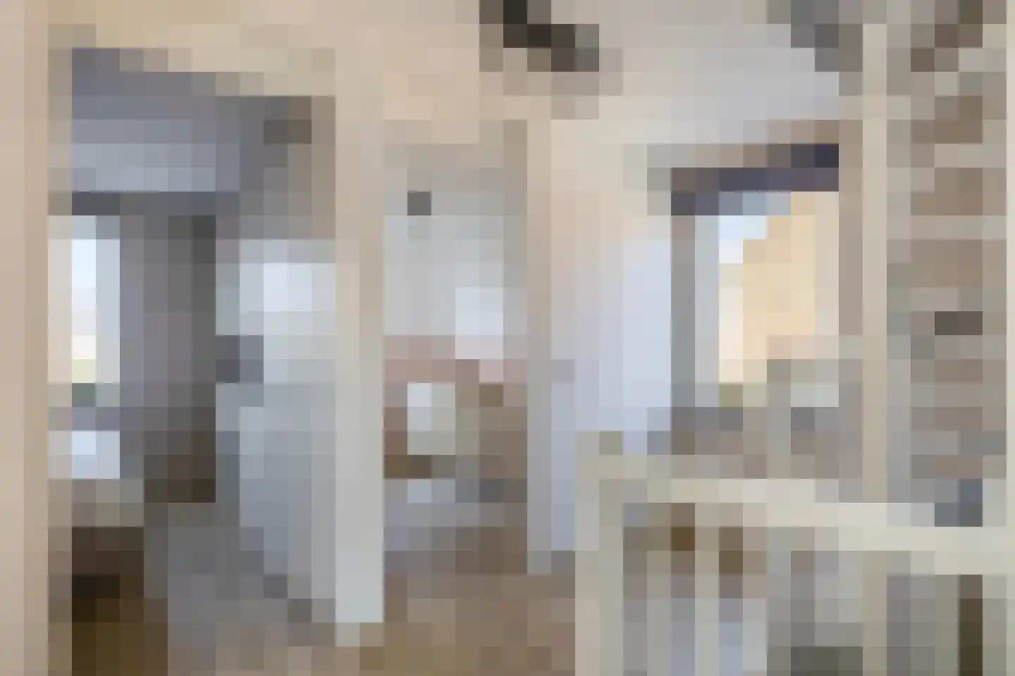 De Hoef 7 Bergeijk thumbnail 30