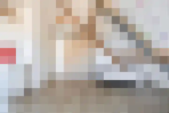 De Hoef 7 Bergeijk thumbnail 39