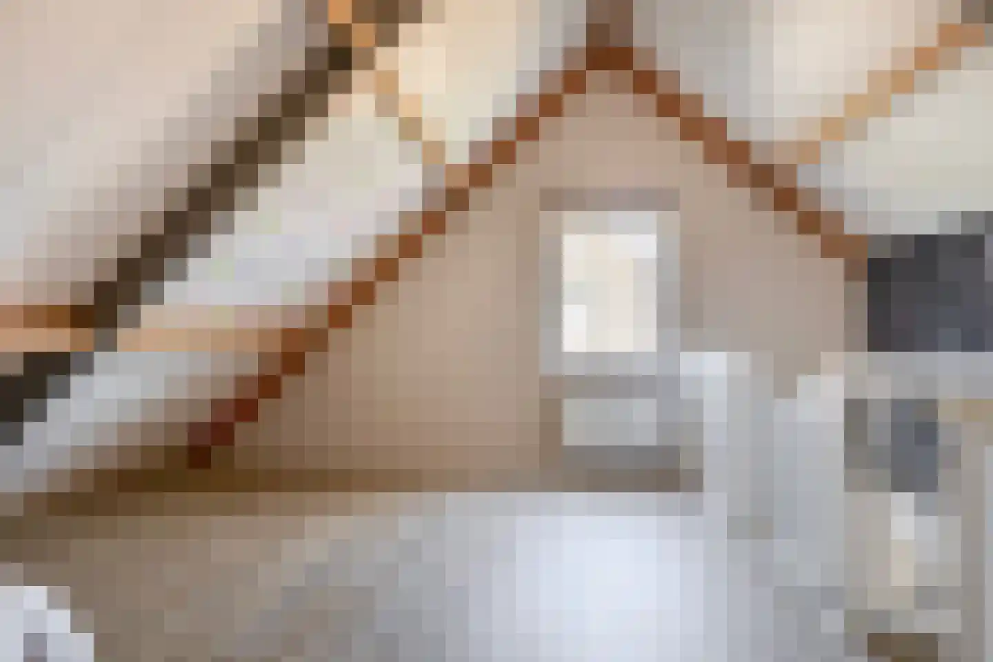 De Hoef 7 Bergeijk thumbnail 40