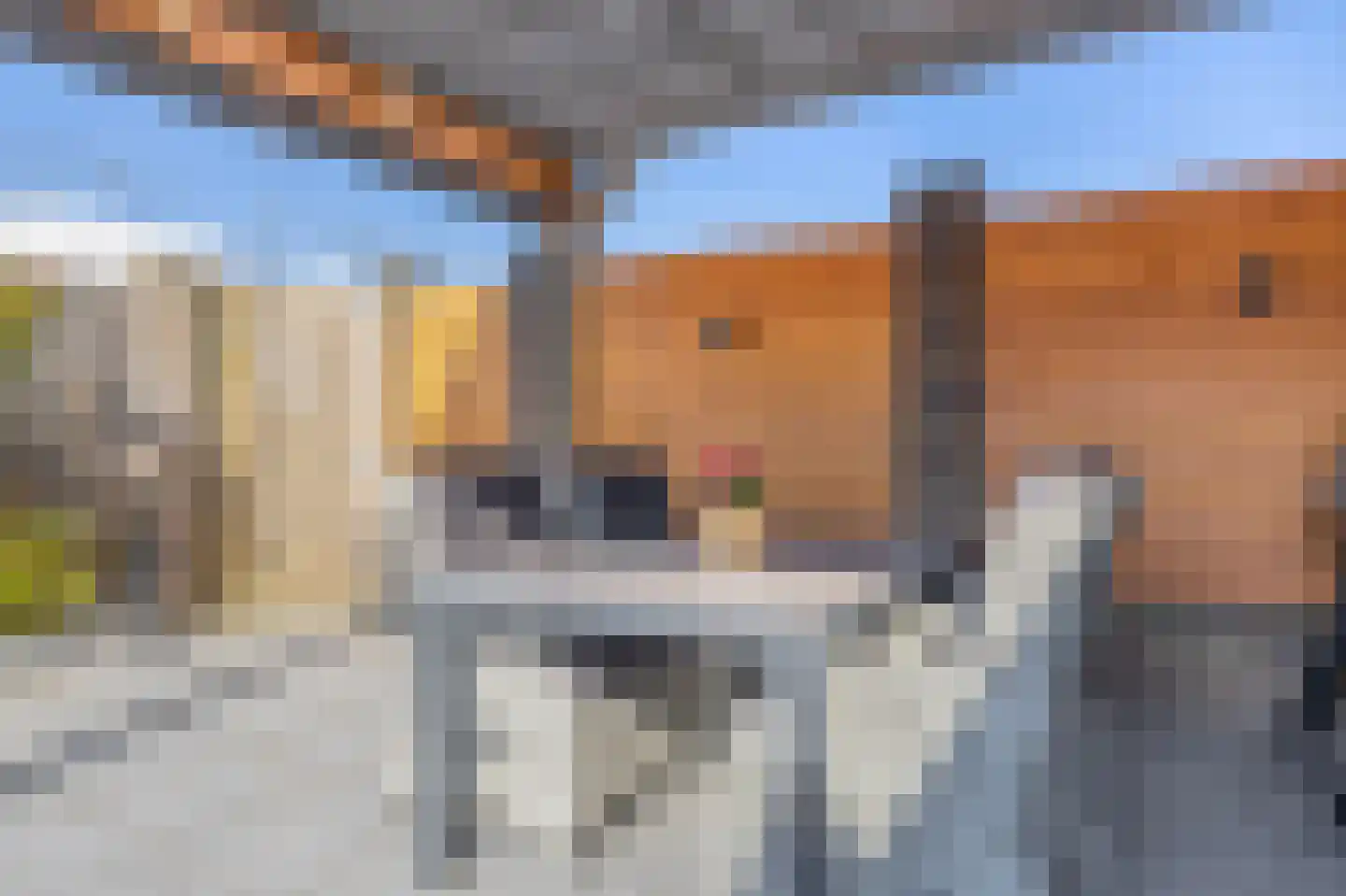 De Hoef 7 Bergeijk thumbnail 45