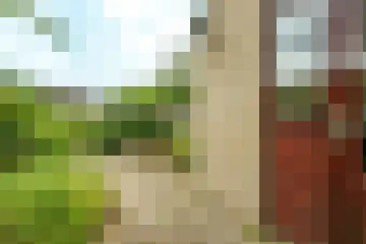 de Hoef 74 Wageningen thumbnail 23