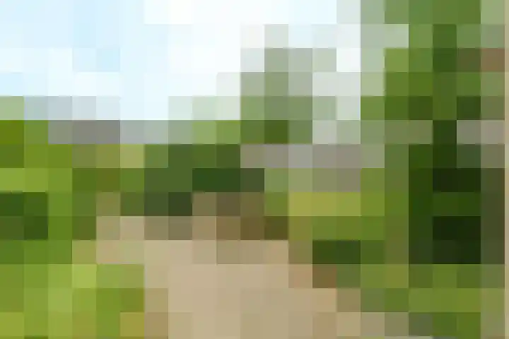 de Hoef 74 Wageningen thumbnail 24