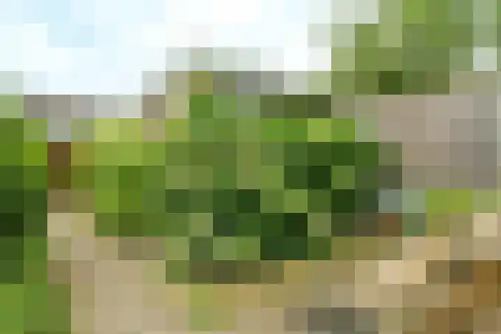 de Hoef 74 Wageningen thumbnail 25