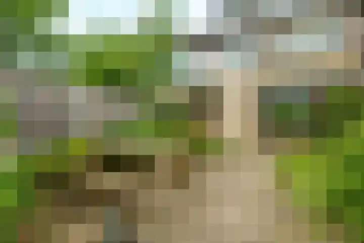 de Hoef 74 Wageningen thumbnail 26