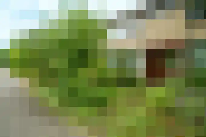 de Hoef 74 Wageningen thumbnail 4