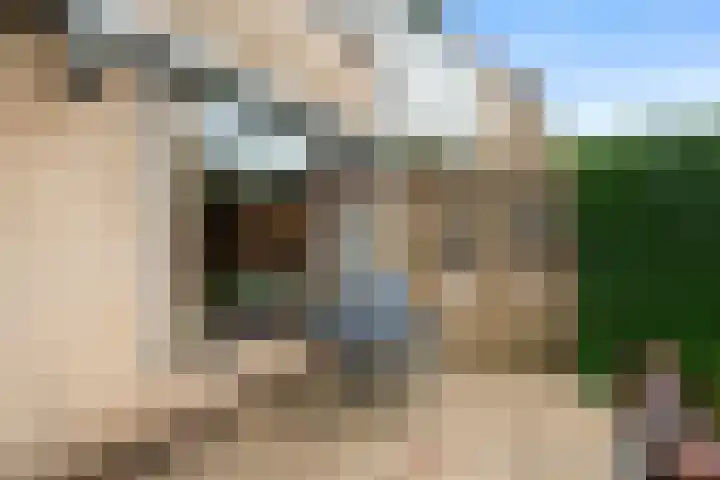 de Hoef 75 Wageningen thumbnail 12