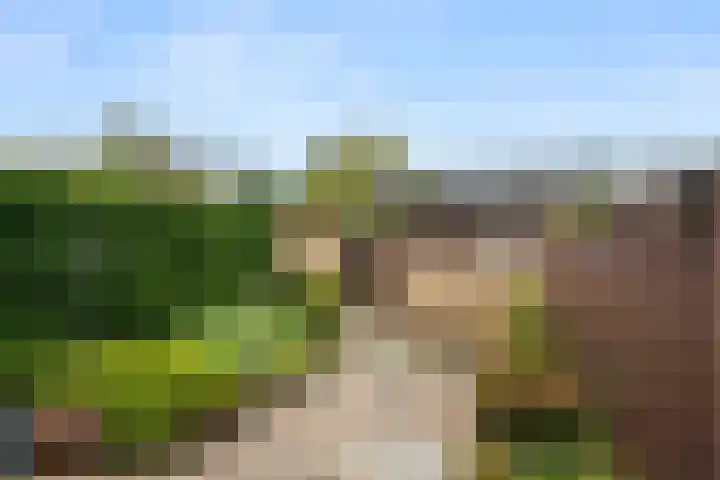 de Hoef 75 Wageningen thumbnail 13