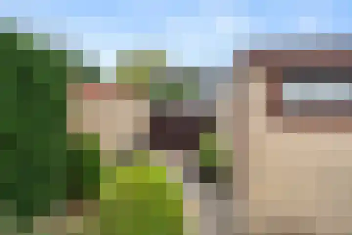 de Hoef 75 Wageningen thumbnail 14