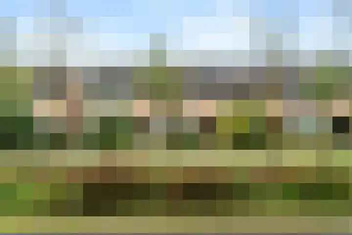 de Hoef 75 Wageningen thumbnail 4