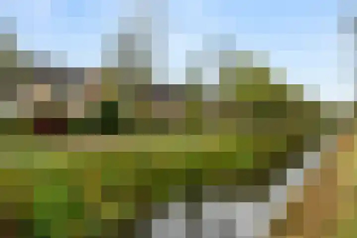 de Hoef 75 Wageningen thumbnail 5