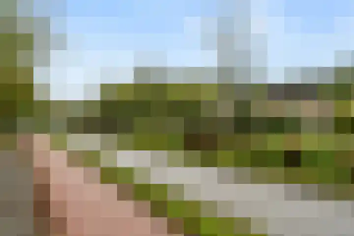 de Hoef 75 Wageningen thumbnail 6