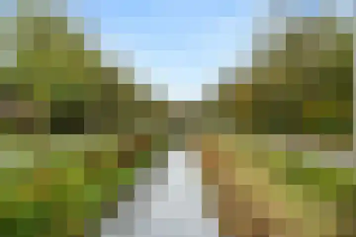 de Hoef 75 Wageningen thumbnail 7