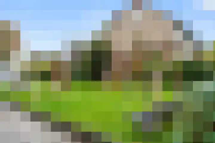 de Hoef 75 Wageningen thumbnail 8