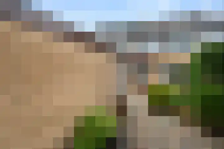 de Hoef 75 Wageningen thumbnail 9