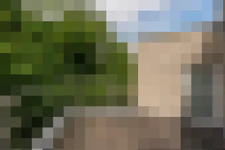 De Hoef 77 Malden thumbnail 30