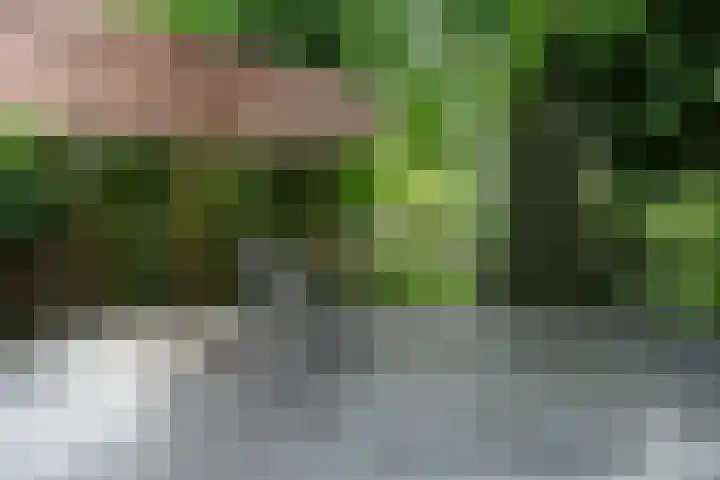 De Hoef 77 Malden thumbnail 41