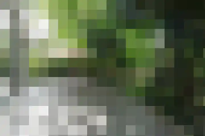 De Hoef 77 Malden thumbnail 44