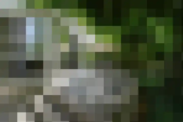 De Hoef 77 Malden thumbnail 45