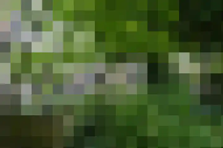 De Hoef 77 Malden thumbnail 51