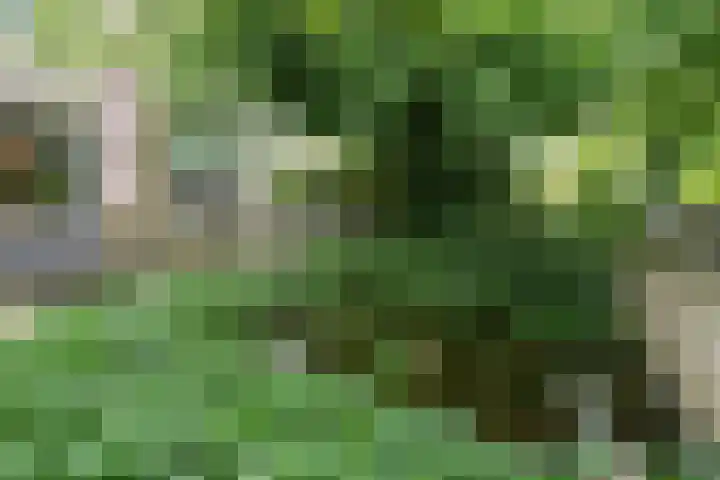 De Hoef 77 Malden thumbnail 53