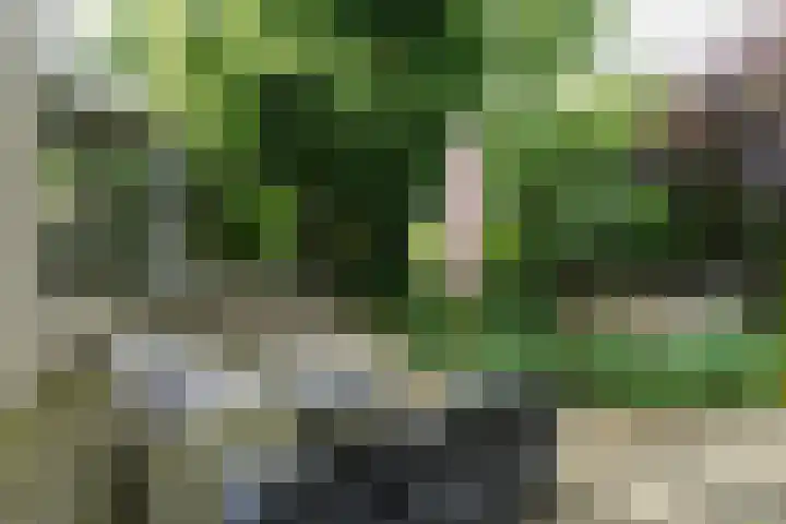 De Hoef 77 Malden thumbnail 54
