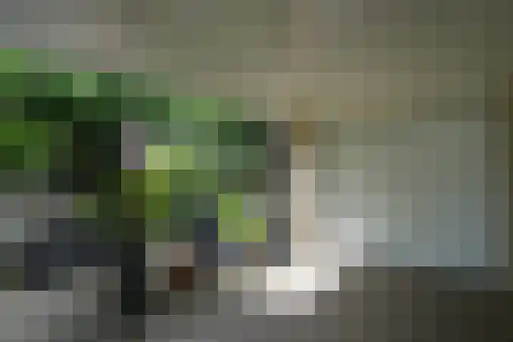 De Hoef 77 Malden thumbnail 57