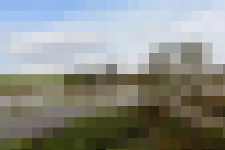de Hoef Oostzijde 35 de Hoef thumbnail 17