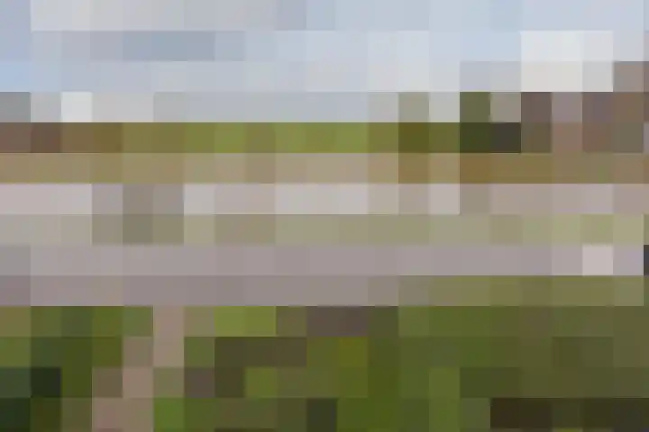 de Hoef Oostzijde 35 de Hoef foto 2