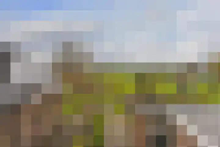de Hoef Oostzijde 35 de Hoef thumbnail 20