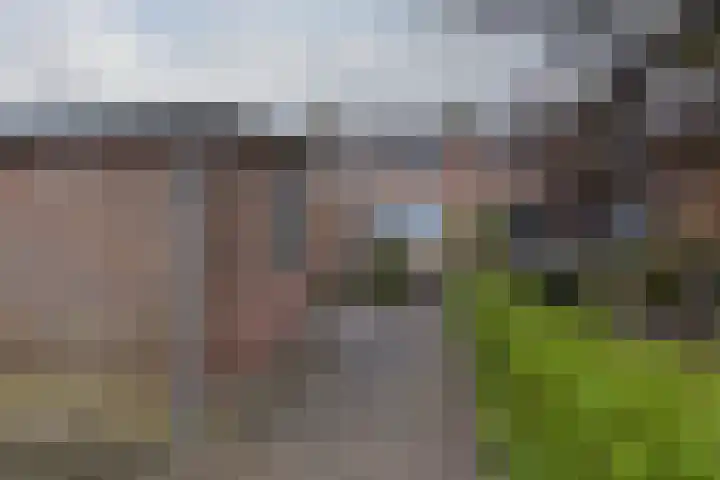 de Hoef Oostzijde 35 de Hoef thumbnail 24