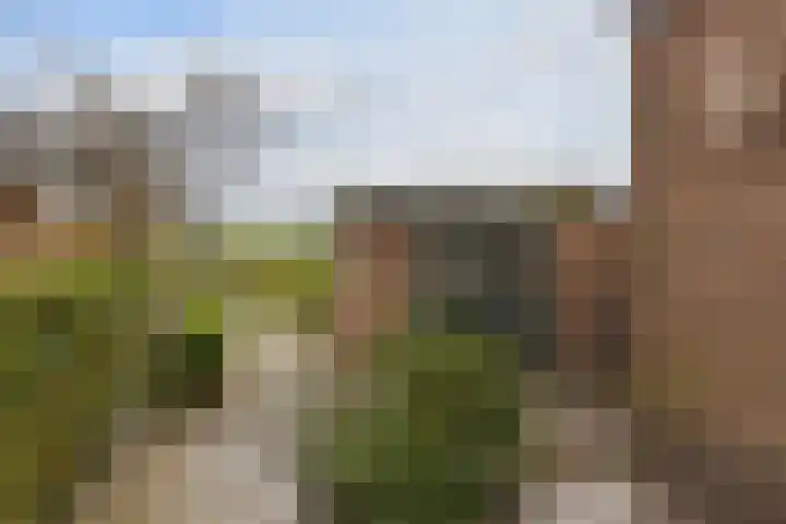 de Hoef Oostzijde 35 de Hoef thumbnail 26
