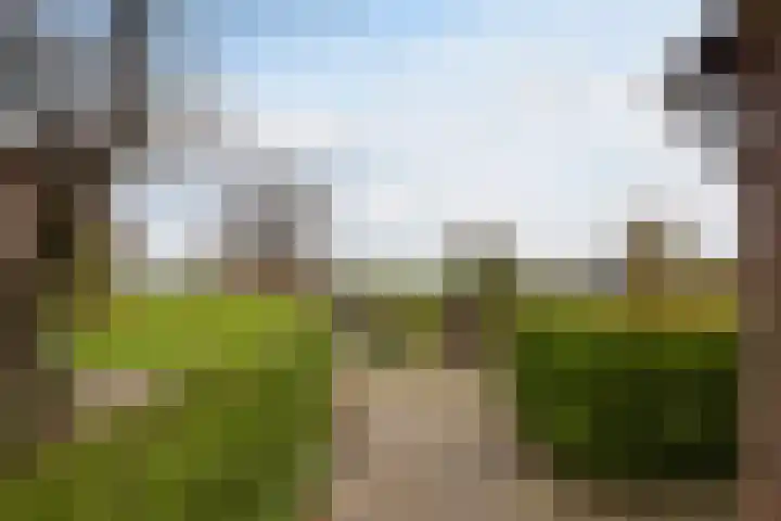 de Hoef Oostzijde 35 de Hoef thumbnail 27