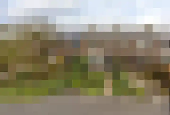 de Hoef Oostzijde 35 de Hoef thumbnail 28