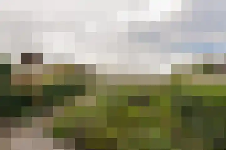 de Hoef Oostzijde 35 de Hoef thumbnail 29