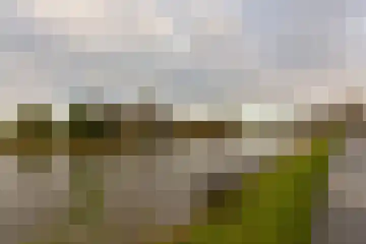 de Hoef Oostzijde 35 de Hoef thumbnail 30