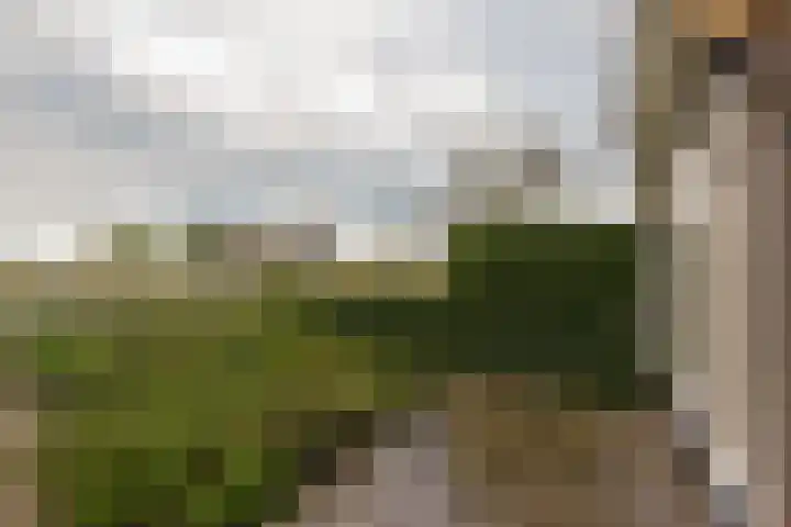 de Hoef Oostzijde 35 de Hoef thumbnail 6