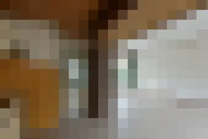 de Hoef Oostzijde 35 de Hoef thumbnail 8