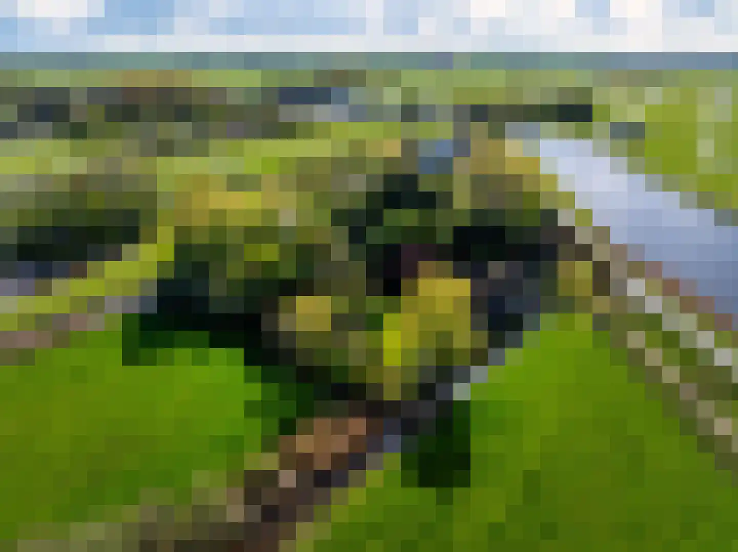 de Hoef Oostzijde 7 de Hoef thumbnail 63