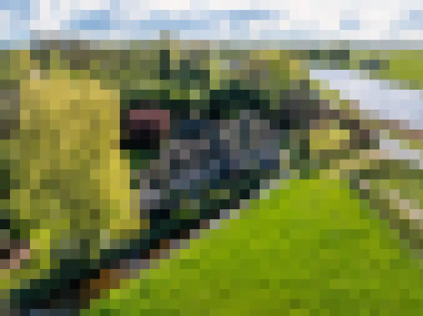 de Hoef Oostzijde 7 de Hoef thumbnail 64