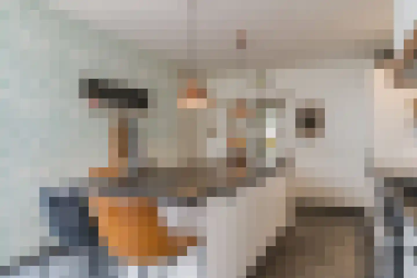 de Hoef Oostzijde 73 de Hoef thumbnail 13