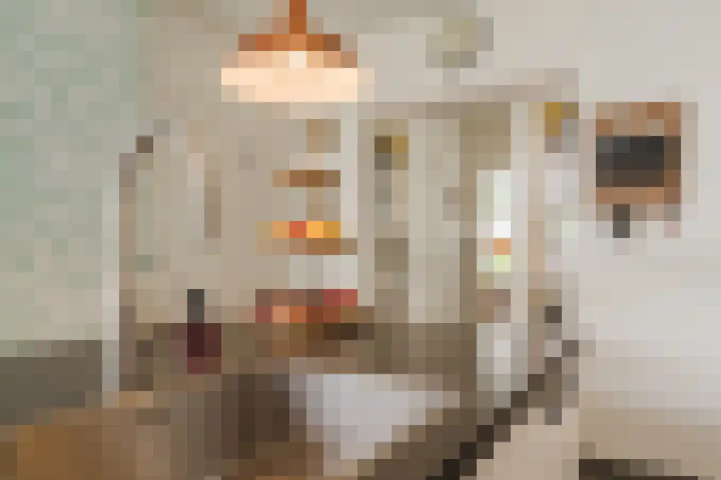 de Hoef Oostzijde 73 de Hoef thumbnail 14