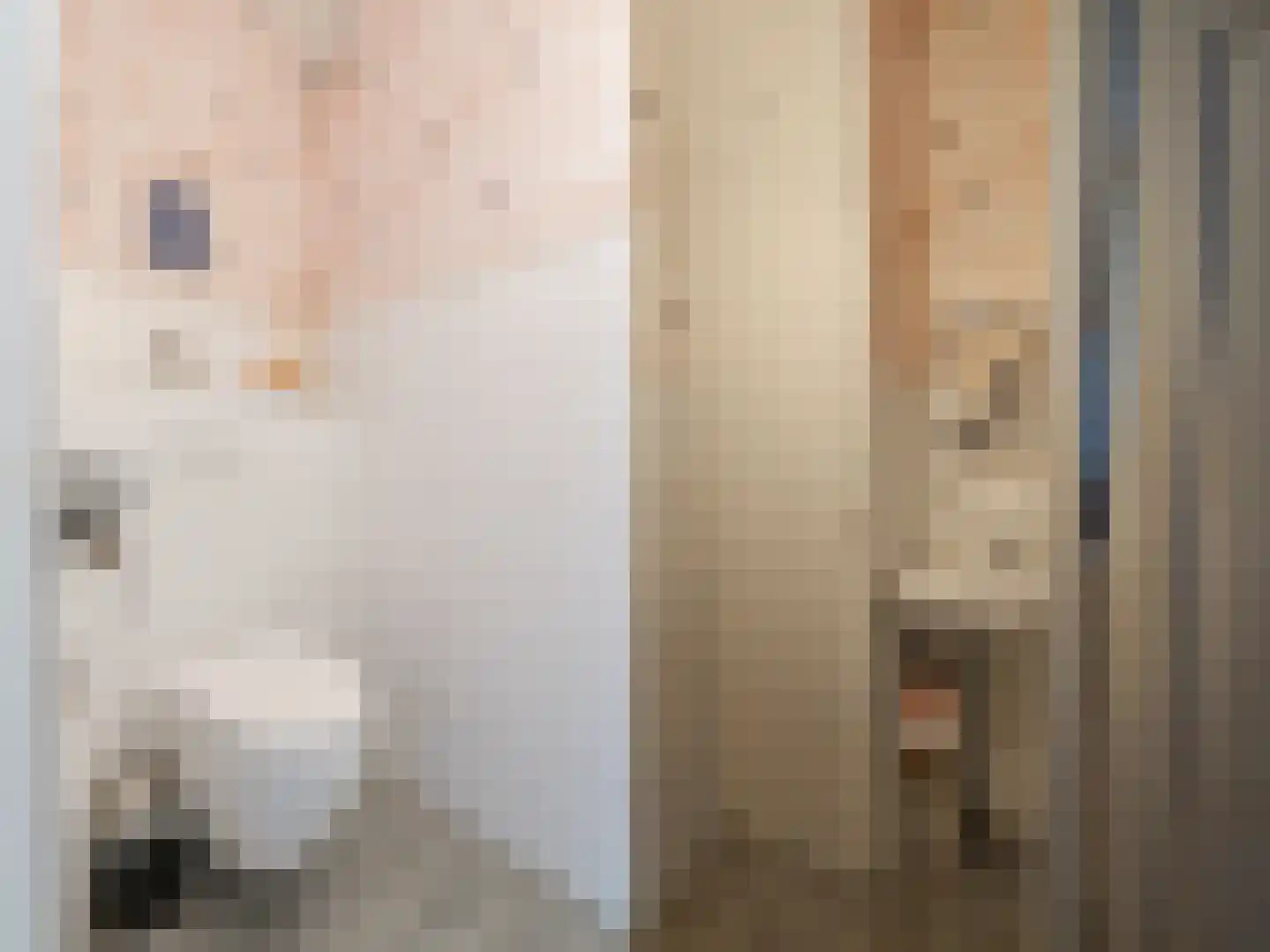 de Hoef Oostzijde 73 de Hoef thumbnail 25