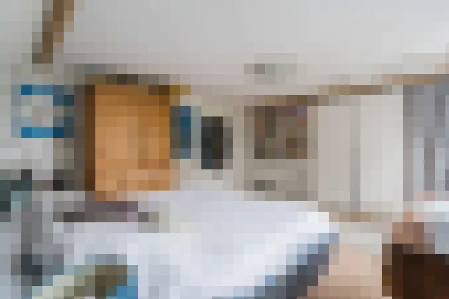 de Hoef Oostzijde 73 de Hoef thumbnail 28