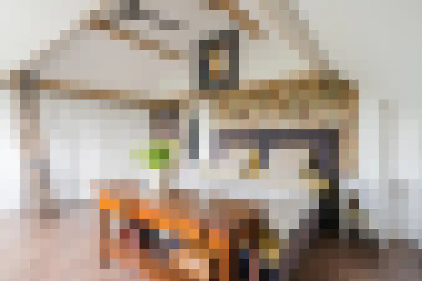 de Hoef Oostzijde 73 de Hoef thumbnail 30