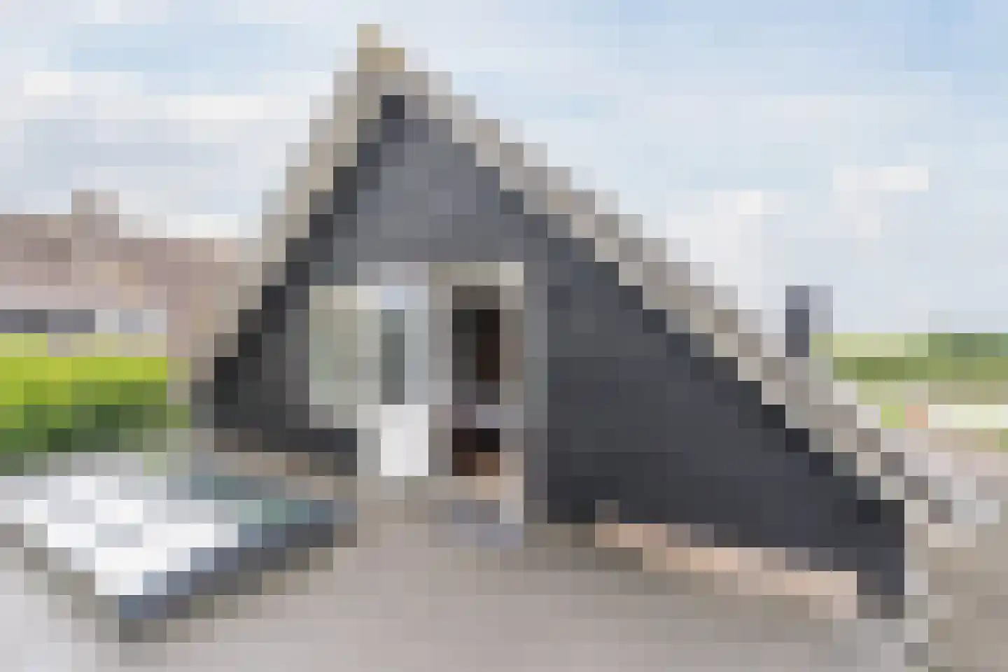 de Hoef Oostzijde 73 de Hoef thumbnail 34