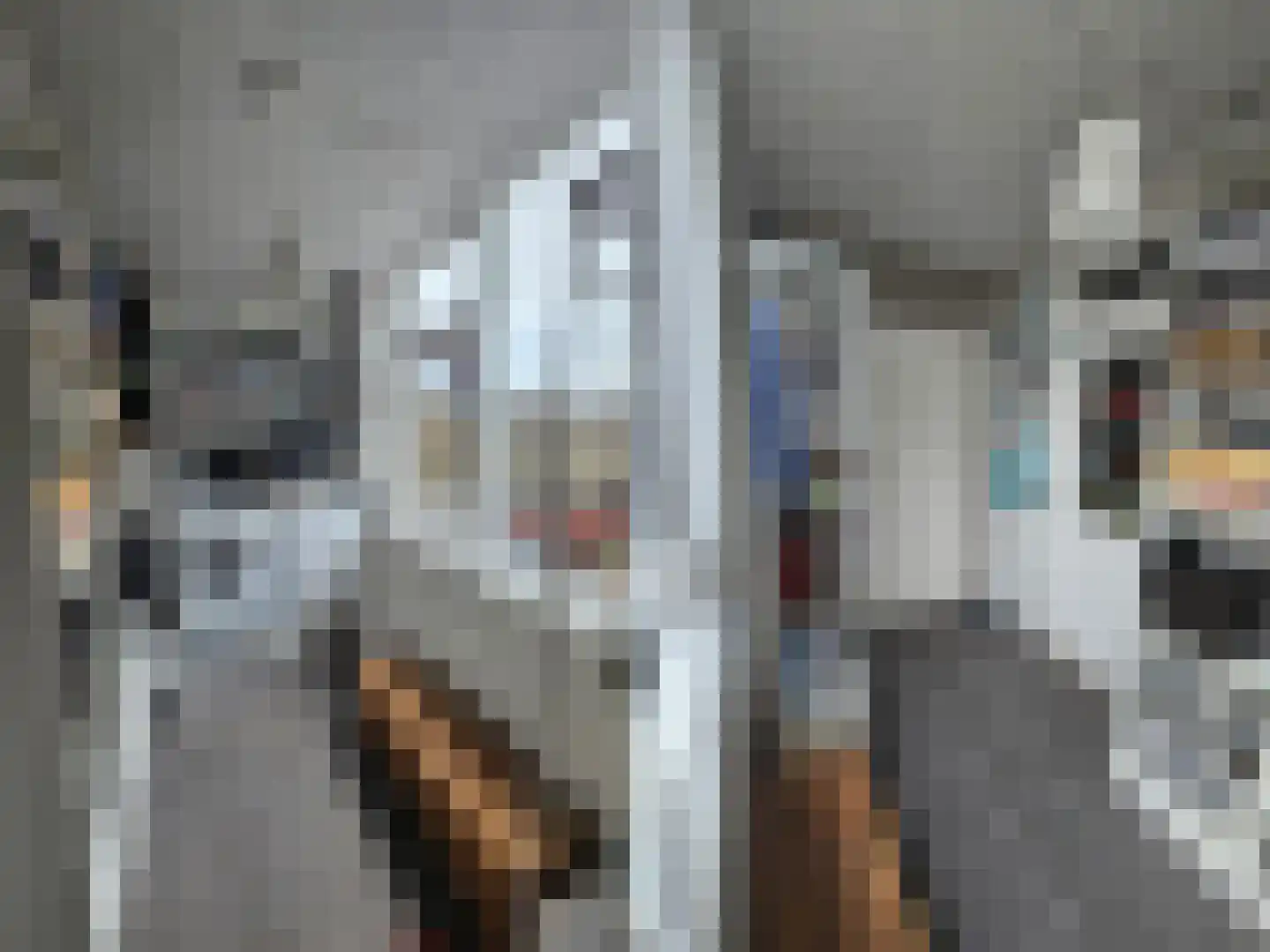 de Hoef Oostzijde 73 de Hoef thumbnail 36