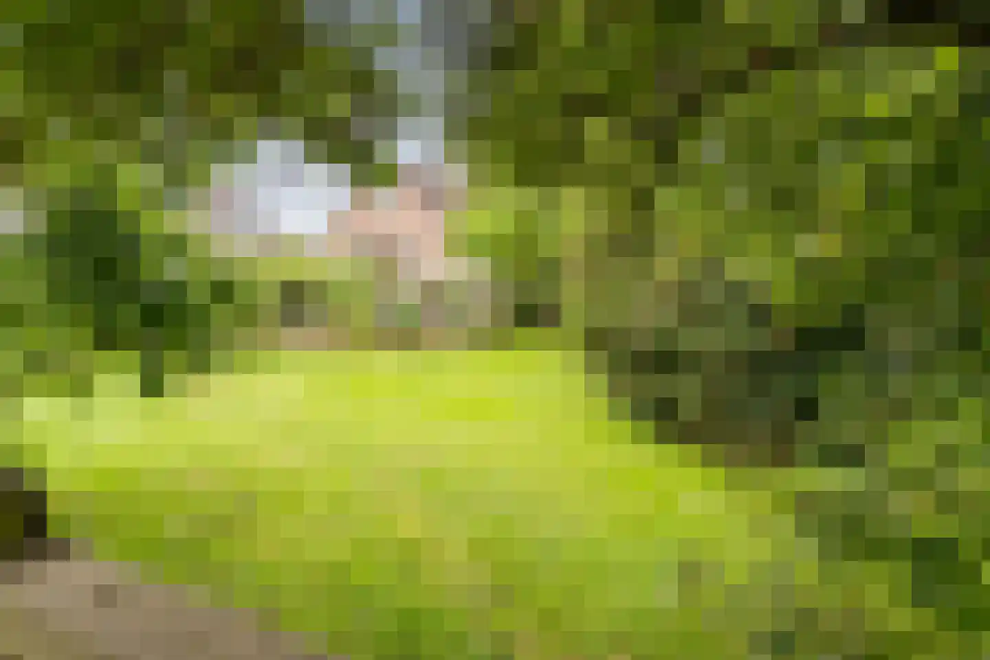 de Hoef Oostzijde 73 de Hoef thumbnail 45